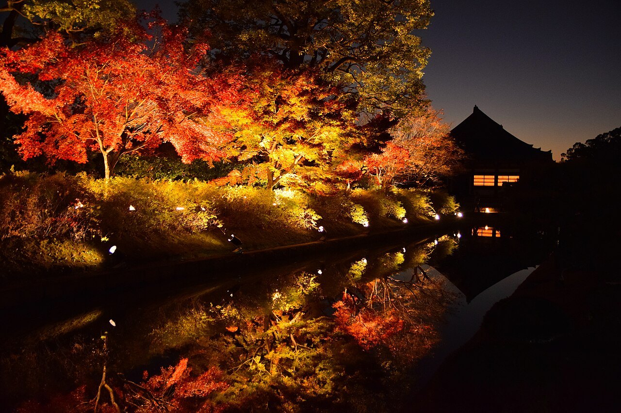 水面に紅葉と堂が映り込む、東寺の過去のライトアップ風景